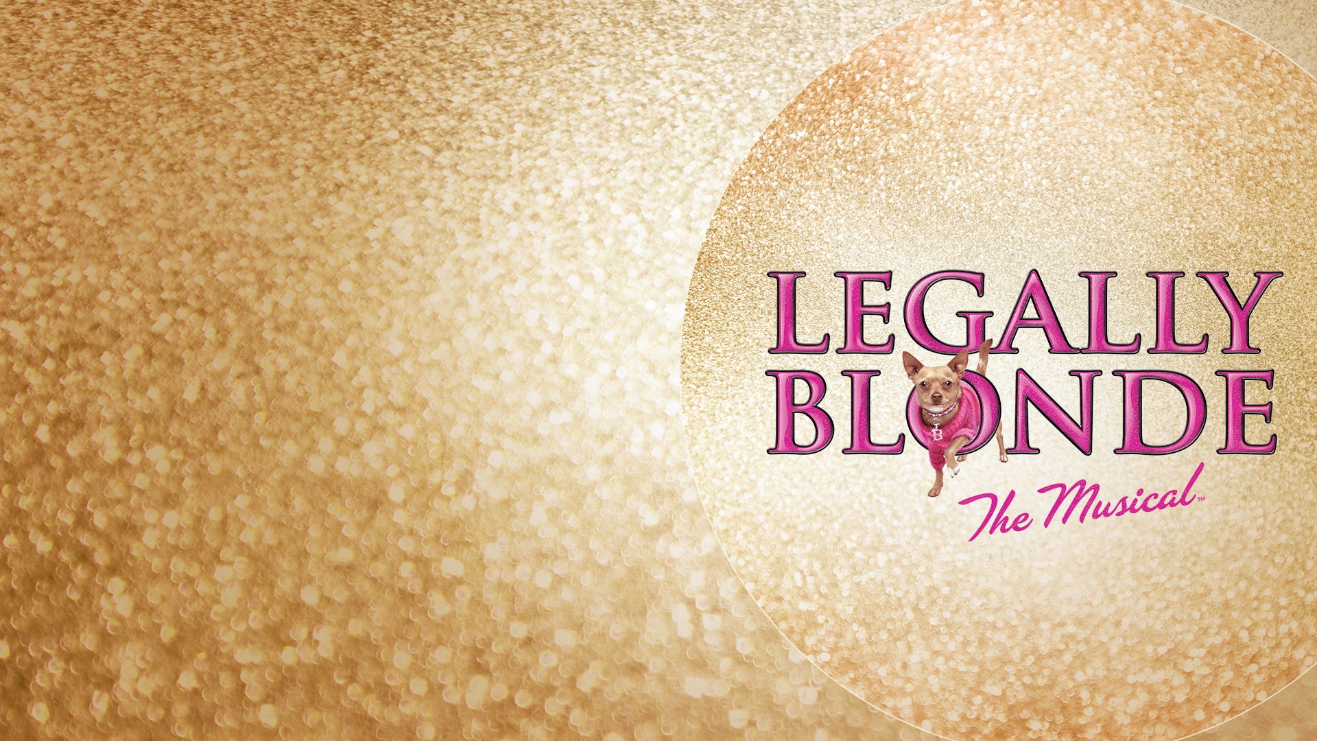 LCT.1202-web-banner-Legally-Blonde-041922-BUILD-min.jpg